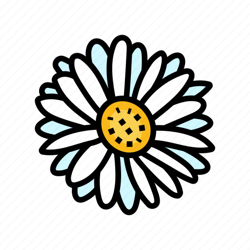 Daisy, blossom, spring, flower, floral, nature icon - Download on Iconfinder
