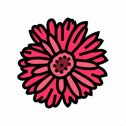 Gerbera, daisy, blossom, spring, flower, floral icon - Download on Iconfinder