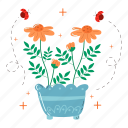 chamomile, flower, floral, blossom, spring, florist, gardening, bouquet, sticker