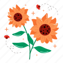 sunflower, flower, floral, blossom, spring, florist, gardening, bouquet, sticker