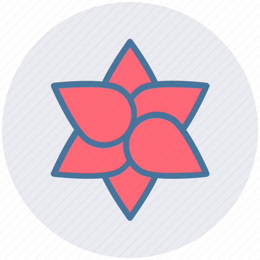 Florist, flower, garden flower, nursery, plant icon - Download on Iconfinder
