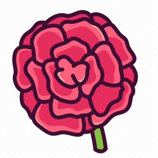 Carnations, floral, flowers, nature, plants icon - Download on Iconfinder
