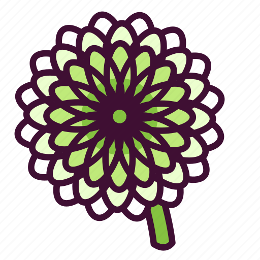 Chrysanthemums, floral, flowers, nature, plants icon - Download on Iconfinder