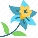 daffodil, flower, blossom, floral