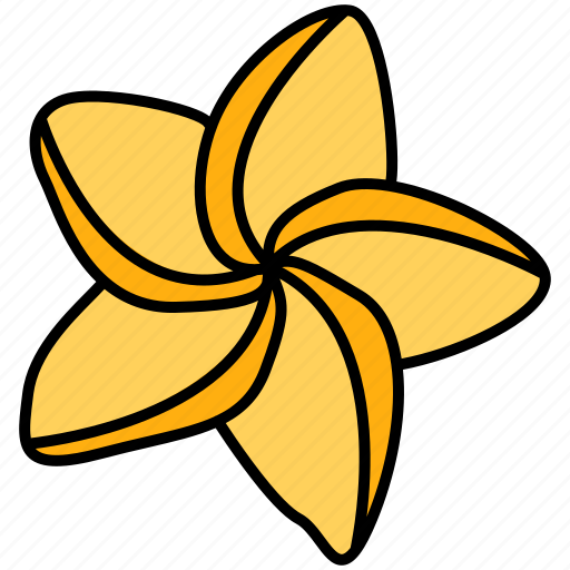 Plumeria, flower, blossom, bloom, floral icon - Download on Iconfinder