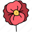 poppy, flower, floral 