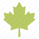 forest, green, leaf, maple, nature, plant, tree