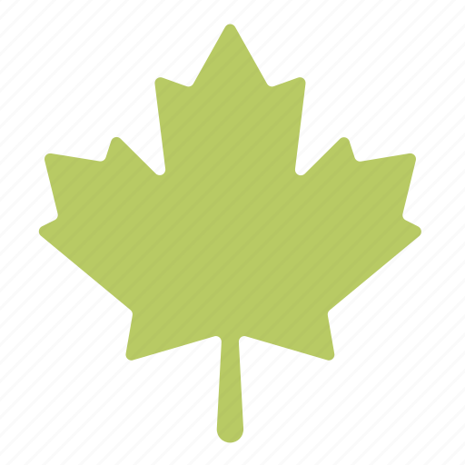 Forest, green, leaf, maple, nature, plant, tree icon - Download on Iconfinder
