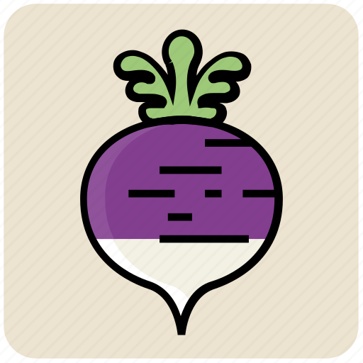 Beet, crops, food, plant, root, underground, vegetable icon - Download on Iconfinder