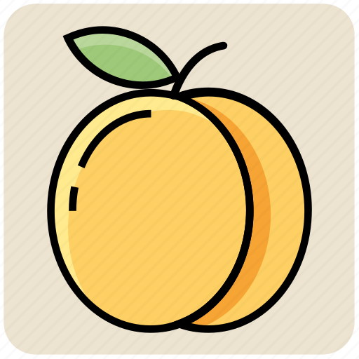 Apricot, food, fruit, juicy, organic, plum, prune icon - Download on Iconfinder