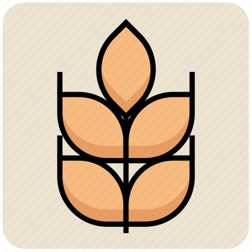 Agriculture, cereal grain, farm, food, grain, wheat, wheat ear icon - Download on Iconfinder