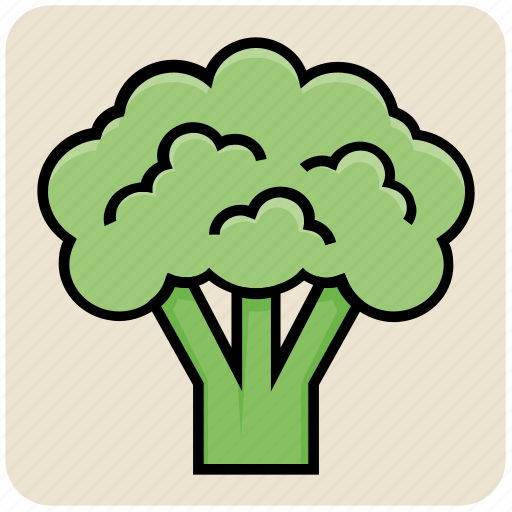 Broccoli, food, nature, salad, tree, vegetable icon - Download on Iconfinder