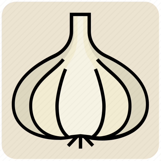 Allium, clove, food, garlic, ingredient, vegetable icon - Download on Iconfinder