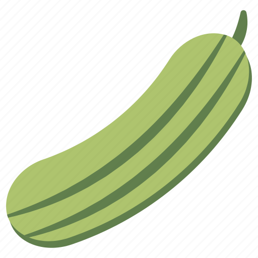 Cucumber, vegetable, veggie, edible, eatable icon - Download on Iconfinder