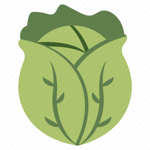 Cabbage, vegetable, veggie, edible, eatable icon - Download on Iconfinder