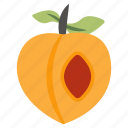 apricot, fruit, edible, nutritious diet, healthy diet