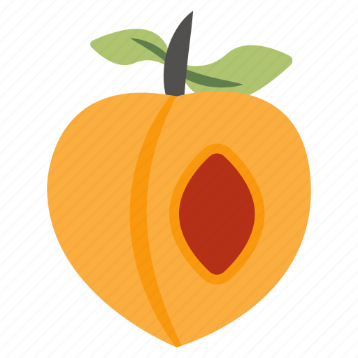 Apricot, fruit, edible, nutritious diet, healthy diet icon - Download on Iconfinder