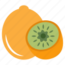kiwi, fruit, edible, nutritious diet, healthy diet