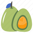 avocado, fruit, edible, nutritious diet, healthy diet