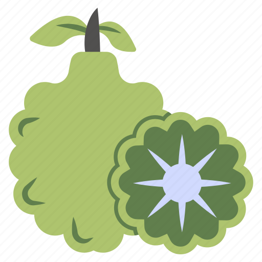 Durian fruit, edible, nutritious diet, healthy diet icon - Download on Iconfinder