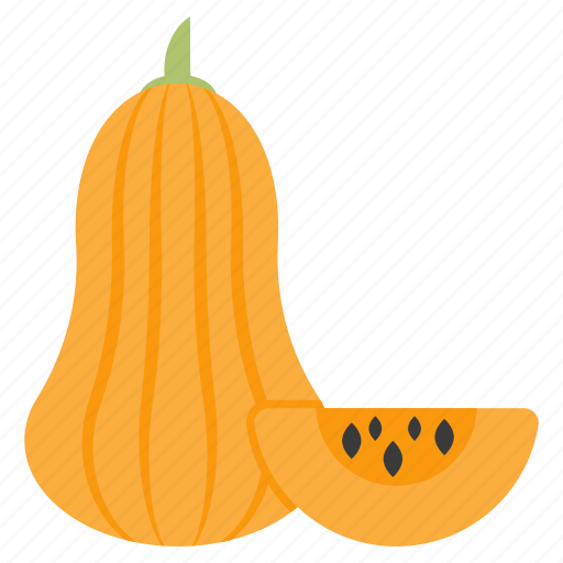 Butternut pumpkin, vegetable, food, edible, winter squash icon - Download on Iconfinder