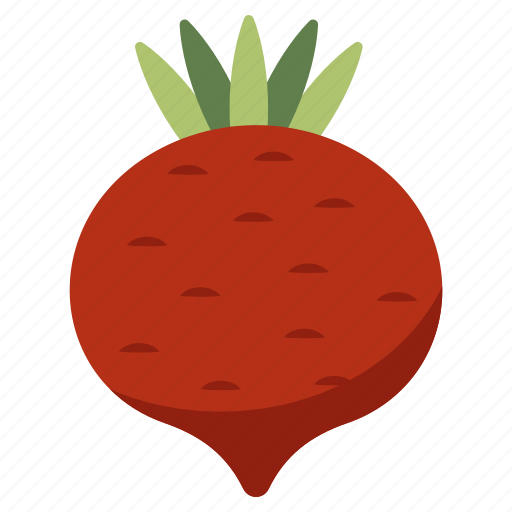Beetroot, vegetable, food, edible icon - Download on Iconfinder