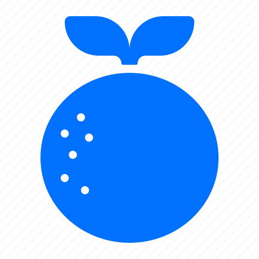 Food, fruit, orange, organic icon - Download on Iconfinder