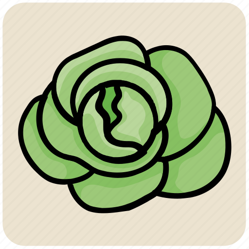 Cabbage, food, lettuce, salad, vegetable icon - Download on Iconfinder