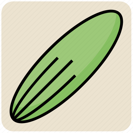 Chopped, cucumber, food, salad, vegetable, veggie icon - Download on Iconfinder