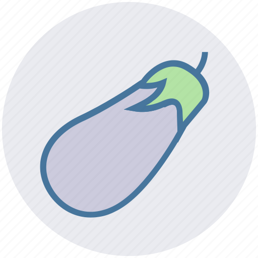 Brinjil, delicious, eggplant, food, vegetables icon - Download on Iconfinder