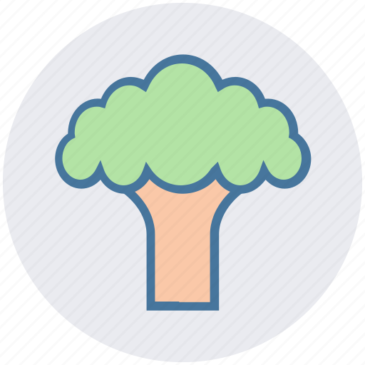 Broccoli, cooking, eating, food, salad, vegetable icon - Download on Iconfinder