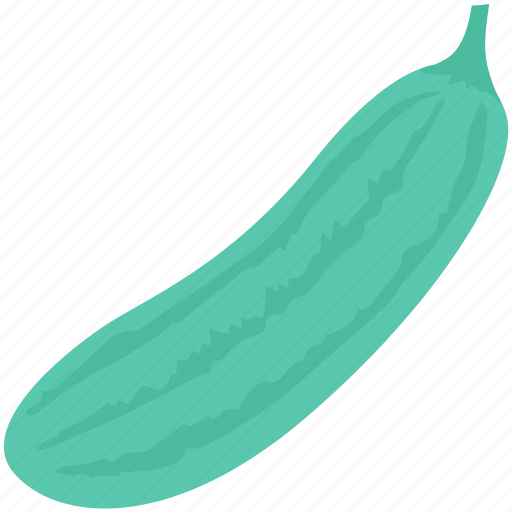 Courgette, cucumber, food, vegetable, zucchini icon - Download on Iconfinder