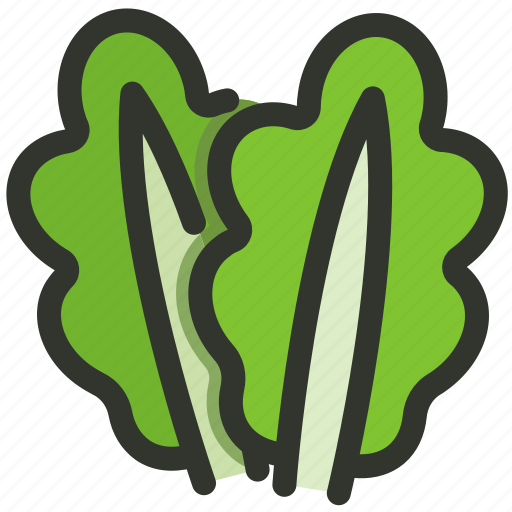 Food, leaf, lettuce, salad, spinach, vegetable icon - Download on Iconfinder