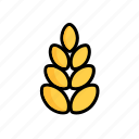 breadstuff, corn, grain, granule, kernel, seed, wheat