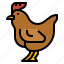 animal, chicken, farm, rooster 