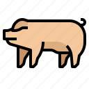 animals, farm, pig, pork, wildlife