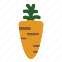 carrot, food, fresh, plant, vegetable
