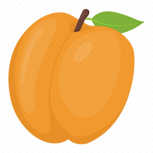 Apricot, food, fruit, healthy food, peach icon - Download on Iconfinder