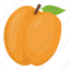 apricot, food, fruit, healthy food, peach 