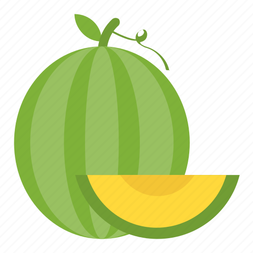 Cantaloupe, food, fruit, green melon, melon icon - Download on Iconfinder