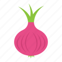 bulb onion, common onion, diet, onion, vegetable 
