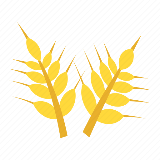 Ear of barley, grain, oat, wheat, wheat ear icon - Download on Iconfinder
