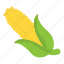 corn cob, maize, ripe corn, sweet corn, yellow corn 