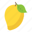 fruit, healthy diet, mango, ripe mango, yellow fruit 