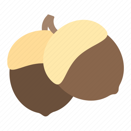 Acorn, dried acorn, oak, oak nut, wild fruit icon - Download on Iconfinder