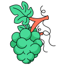 grapes, healthy, fruit, food, juicy, bunch, nutrition