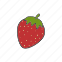 berry, fruit, strawberry