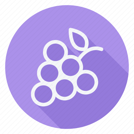 Appliance, cooking, drinks, food, gastronomy, fruit, grapes icon - Download on Iconfinder