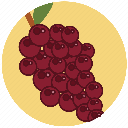Food, fresh, fruit, fruits, grape, healt, wine icon - Download on Iconfinder