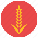 farm, food, harvest, pastry, product, wheat 